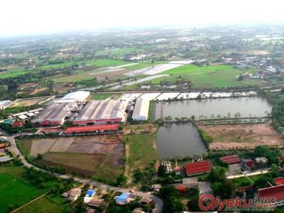 優(yōu)質(zhì)中泰羥丙基(醚化交聯(lián))木薯變性淀粉 -中泰淀粉提供優(yōu)質(zhì)中泰羥丙基(醚化交聯(lián))木薯變性淀粉 的相關(guān)介紹、產(chǎn)品、服務(wù)、圖片、價(jià)格中泰淀粉、木薯變性淀粉、