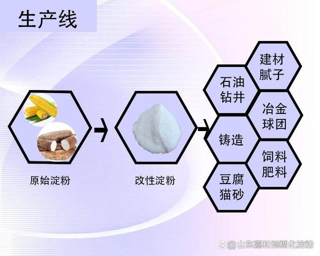 木薯變性淀粉生應用.ppt